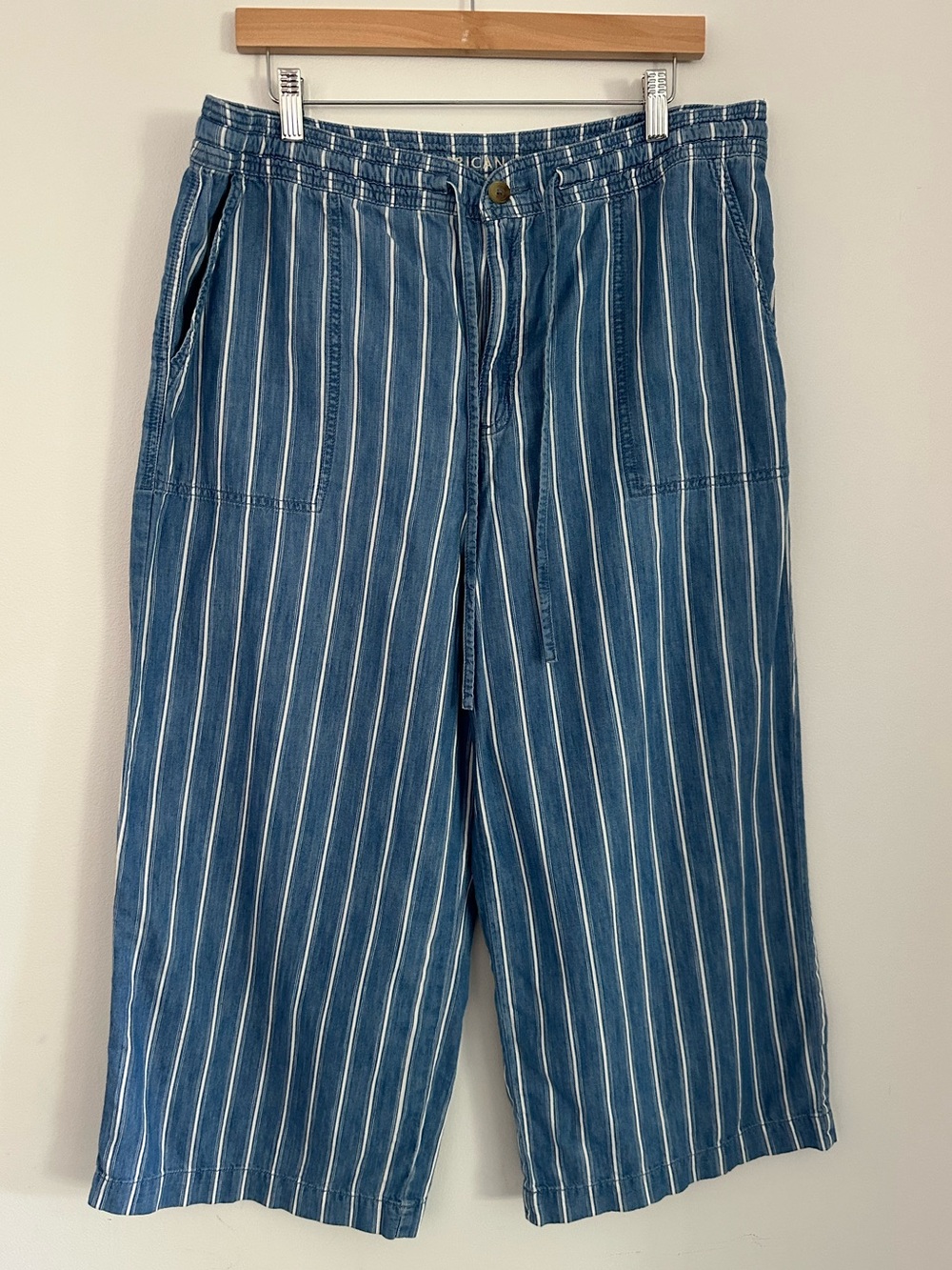 American Eagle Striped Cropped Denim‎ Pants Size 16